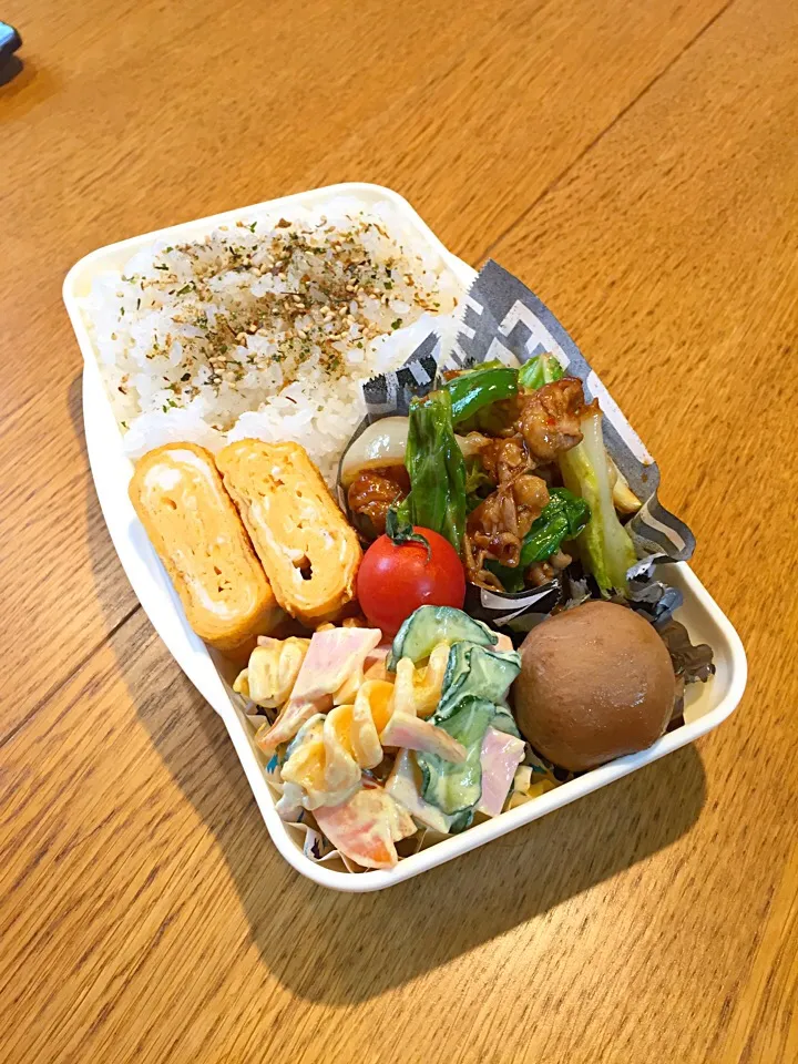 高校生息子のお弁当  回鍋肉|まつださんさん