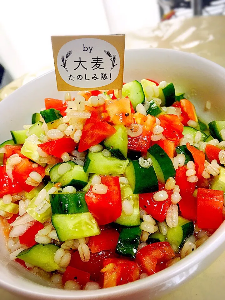 Snapdishの料理写真:くららちゃんのスプーンで食べる‼夏のトマト🍅ときゅうりともち麦のサラダ⭐|かよさん