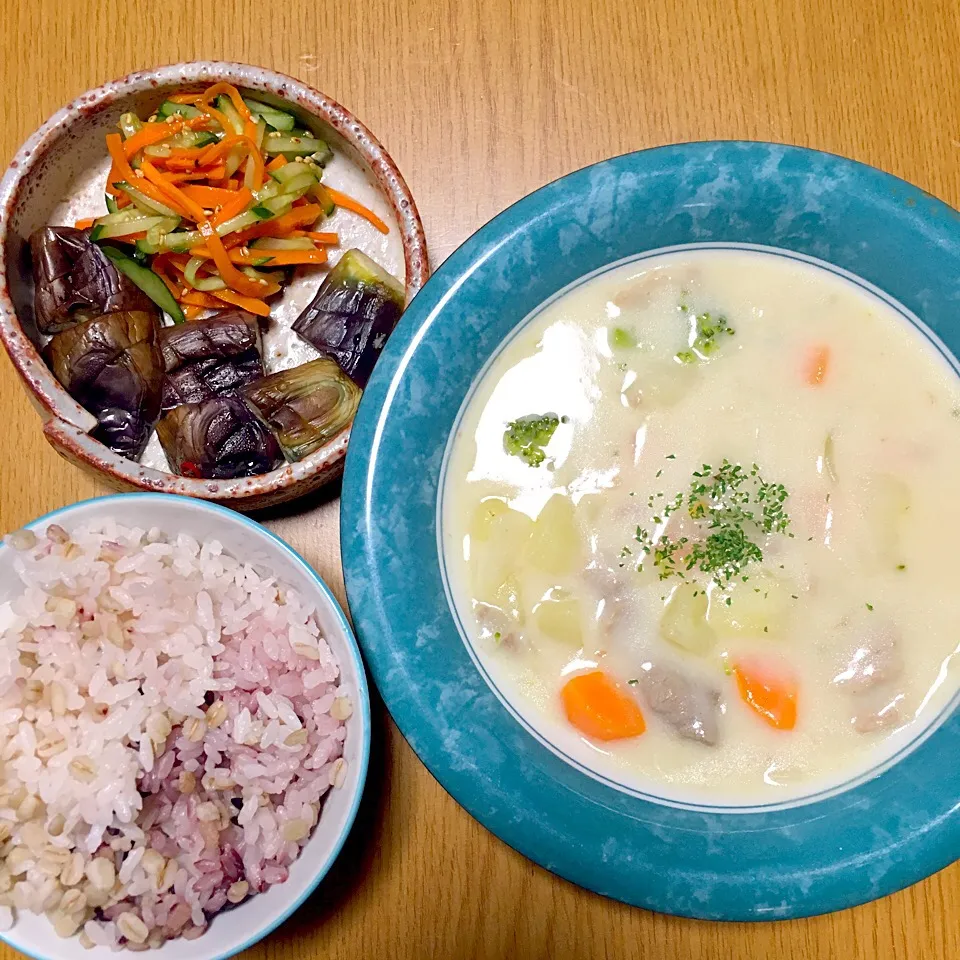 とろけるシチュー
ナスの焼き浸し
キュウリと人参のナムル
雑穀ごはん|yumyum😋さん