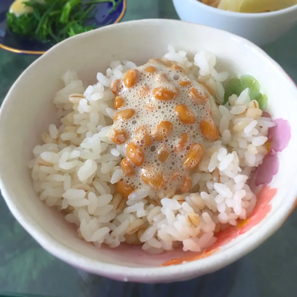 やっぱり納豆ごはん🍚|夏蜜柑さん