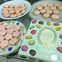 Snapdishの料理写真:#Rosemacaron 
 #laduree|Sidney Lowさん