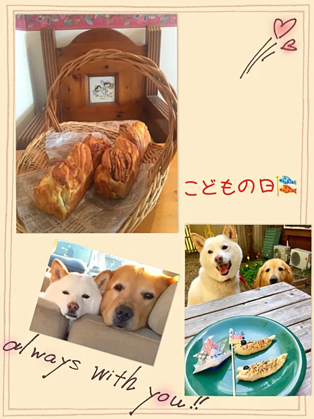 カフェオレロールのツイストパン🍞
子供の日💓
トニー君🐶ササミ肉の鯉のぼり🎏|きゅうちゃんさん