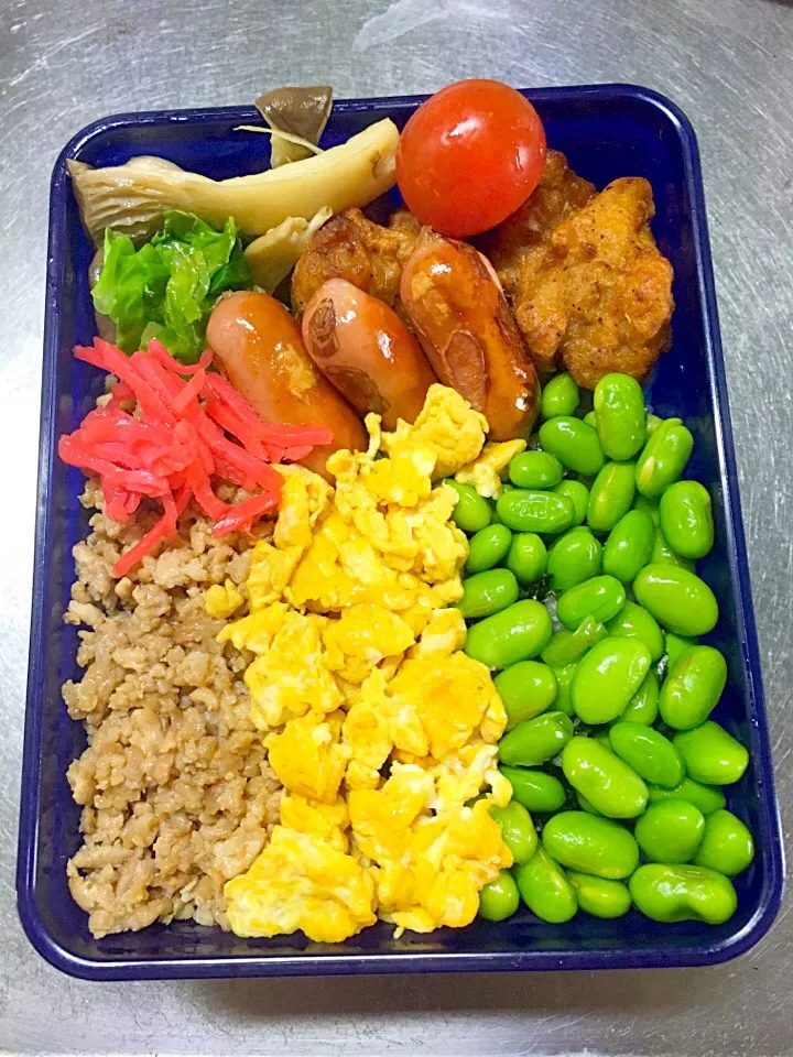 そぼろ弁当#息子弁当#高校生男子弁当 #眠い|友美さん