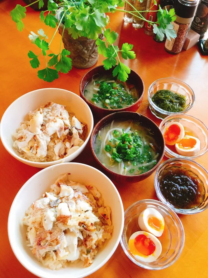 鯛飯🐟アオサの味噌汁 🍲煮卵🥚メカブ🌱モズク|daichanmomさん