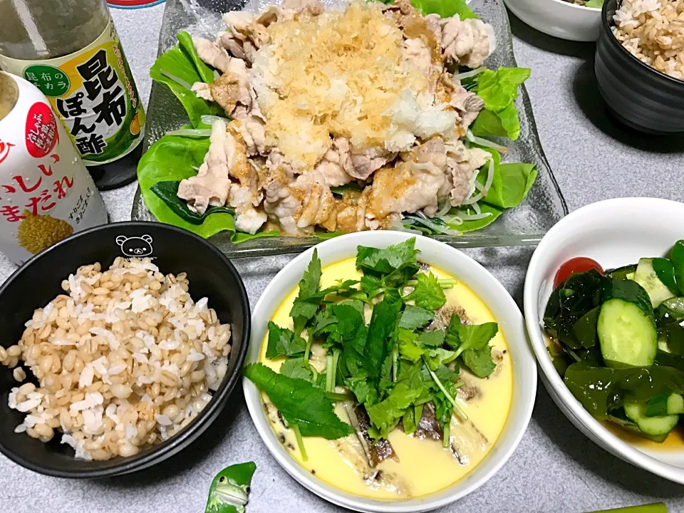 もち麦飯、サラダ菜小松菜もやしおろし豚しゃぶ、茶碗蒸し、きゅうりトマトわかめ酢の物、|ms903さん