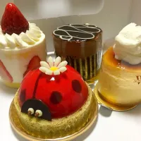 Snapdishの料理写真:ヴィタメールのケーキたち#てんとう虫さん可愛フィスト|ちはキートンさん