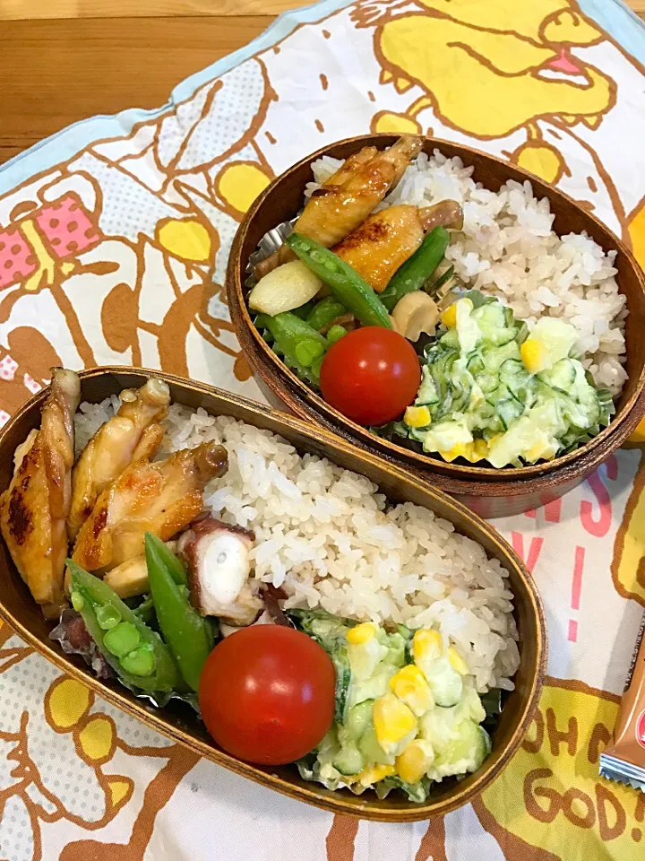 ふたり弁当

雑穀ごはん
スティックチキンの甘辛焼き
スナップエンドウ たこ エリンギの
                     塩バター炒め
サラダ(ポテト きゅうり コーン
ミニトマト|ひななぎさん