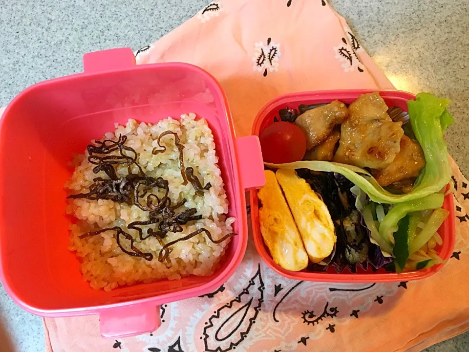 ☆511今日のお弁当☆〜鶏胸肉の照り焼き、だし巻き卵、ひじき煮、きゅうりともやしの酢の物、トマト〜|Satokoさん