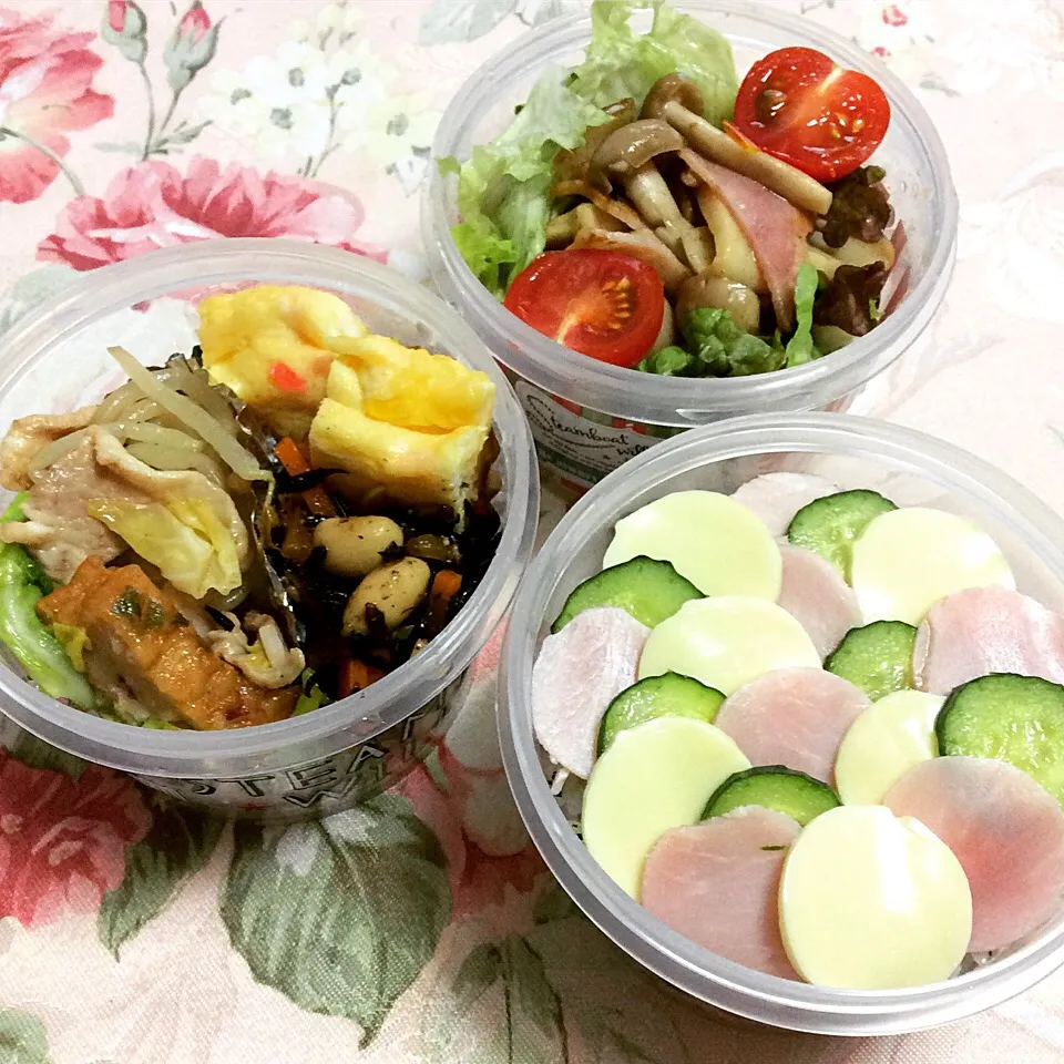 ハム チーズ きゅうり で可愛い水玉ちらし寿司のお弁当♬ 丸いカップでいただきます💕💕|夢ーテルさん