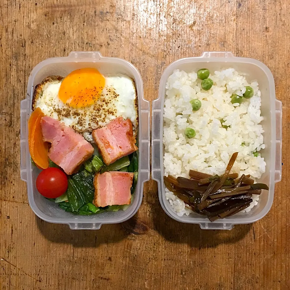 今日のお弁当‼︎ 11 May
#昼ごはん #お昼ごはん #お弁当 #弁当 #弁当男子 #lunch #lunchbox #ベーコン #豆ごはん #蕗 #目玉焼き #野菜炒め|Yoshinobu Nakagawaさん