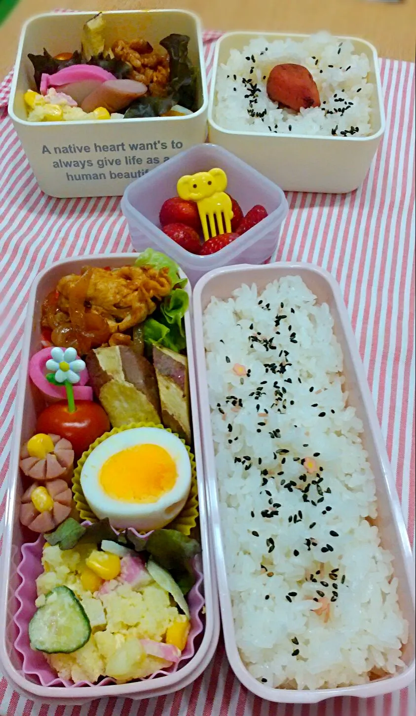 5月11日の娘＆私弁当♪|ノリティアさん