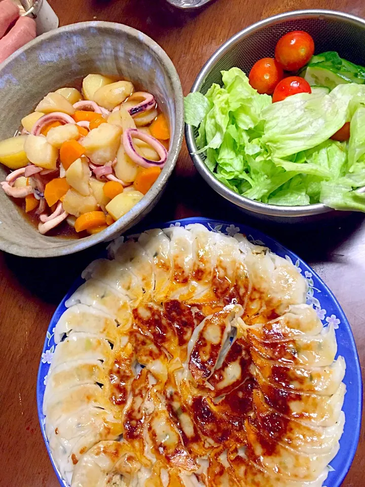 焼き餃子   烏賊とジャガイモの煮物   サラダ|掛谷節子さん