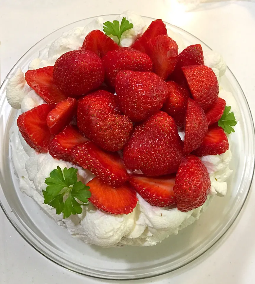 苺のショートケーキ🍓|高戸 あおいさん