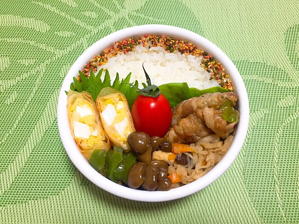 Yumi103さんの料理 キャベツとゆで卵で簡単春巻き～🎵

5/12  お弁当♪

#お弁当 #お弁当の記録|さちさん