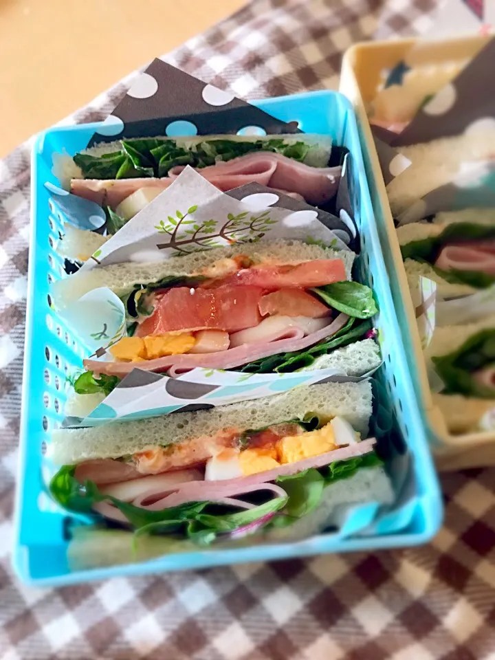 ミックスサンドイッチ弁当|Nagashima  Yukoさん