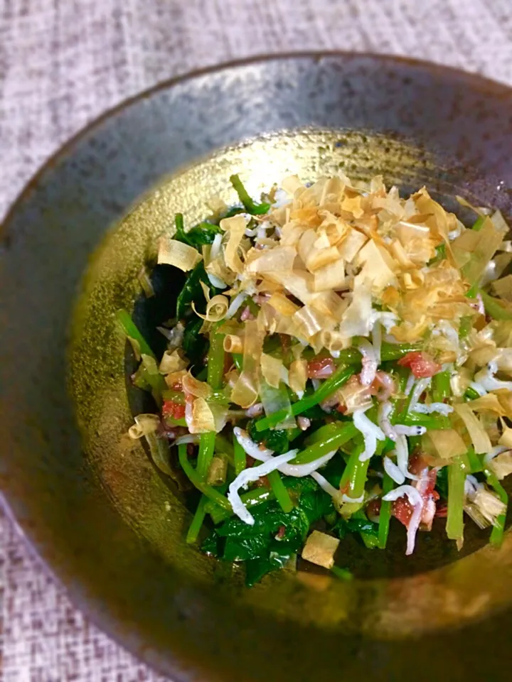 山本真希さんの料理 三つ葉としらすの梅カツオ和え🍀
うん、美味しい😊|あまねこ🌿さん