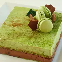 お抹茶とチョコレートのアントルメ