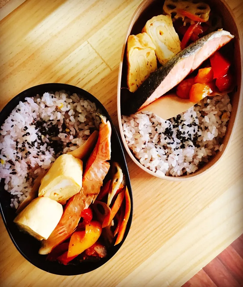 お昼ごはん♡

#曲げわっぱ#お弁当#お昼ごはん#ランチ#鮭の塩焼き#卵焼き#レンコンきんぴら#パプリカとウィンナー炒め|ゆかさん