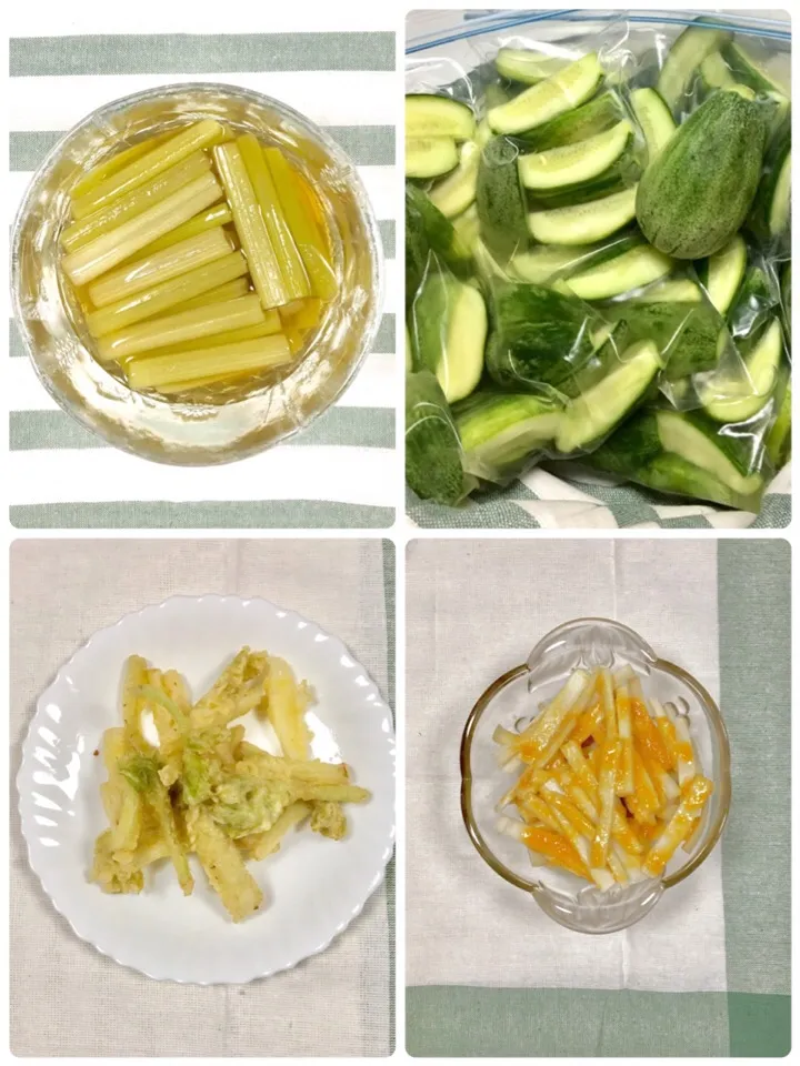 Seasonal Veggies 
-simmered wild butterburs in Japanese broth 
-picked suguri melons 
-udo dressed with vinegar and miso
-udo tempura|gonbenさん