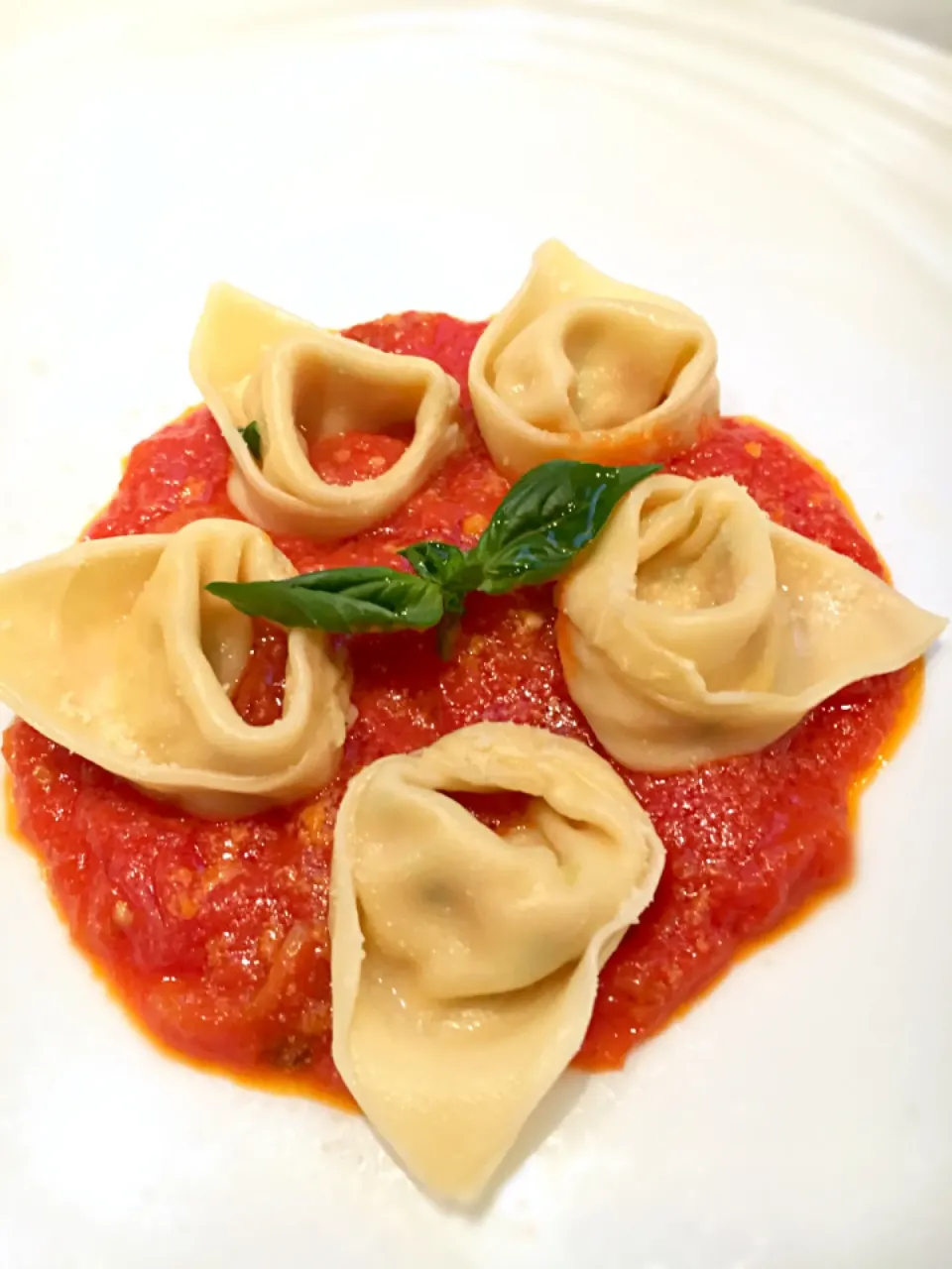 イタリアのパスタ料理
Tortellini
トルテリーニ

トルテッリーニは、薄く伸ばしたパスタ生地に具を包み、指輪状にしたボローニャ地方の名物パスタです。豚ひき肉や生ハム、チーズや玉子を混ぜて詰め物とすることが多く、ひとつひとつを小さく丸めていくため、作業はとても細かく時間がかかります。

寒い季節ならTortell|emamaさん