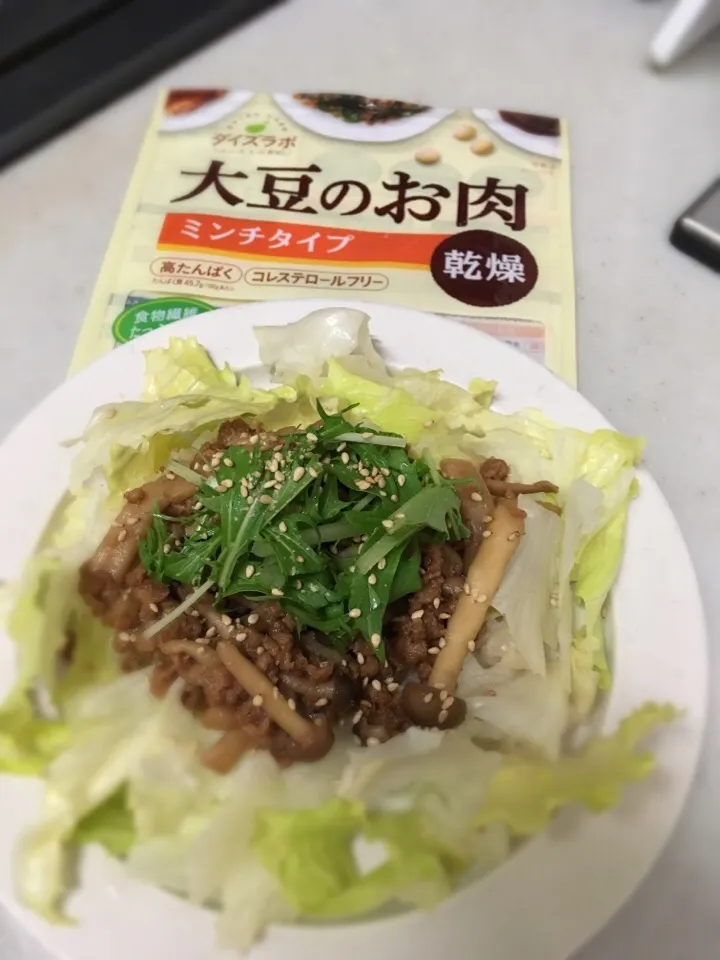 Snapdishの料理写真:簡単ベジそぼろ丼#ヴィーガン #大豆のお肉ミンチ|CHIZUさん