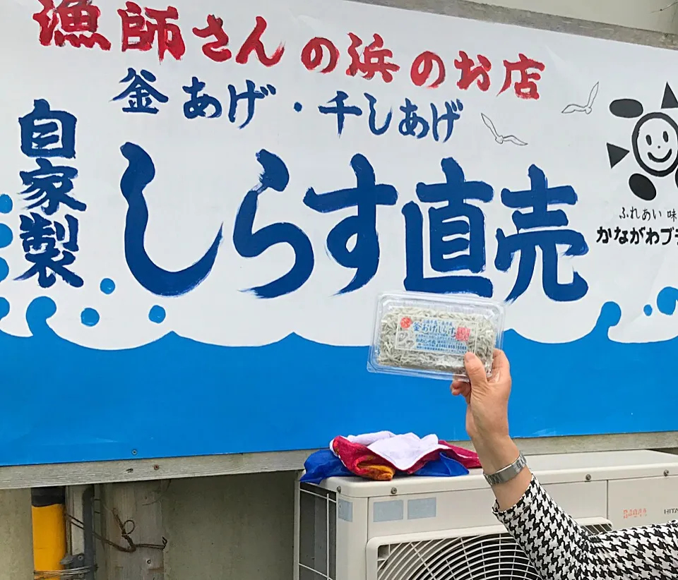 生しらすとったどー！
横須賀市長井漁港
かねしち丸の生しらす|シュトママさん