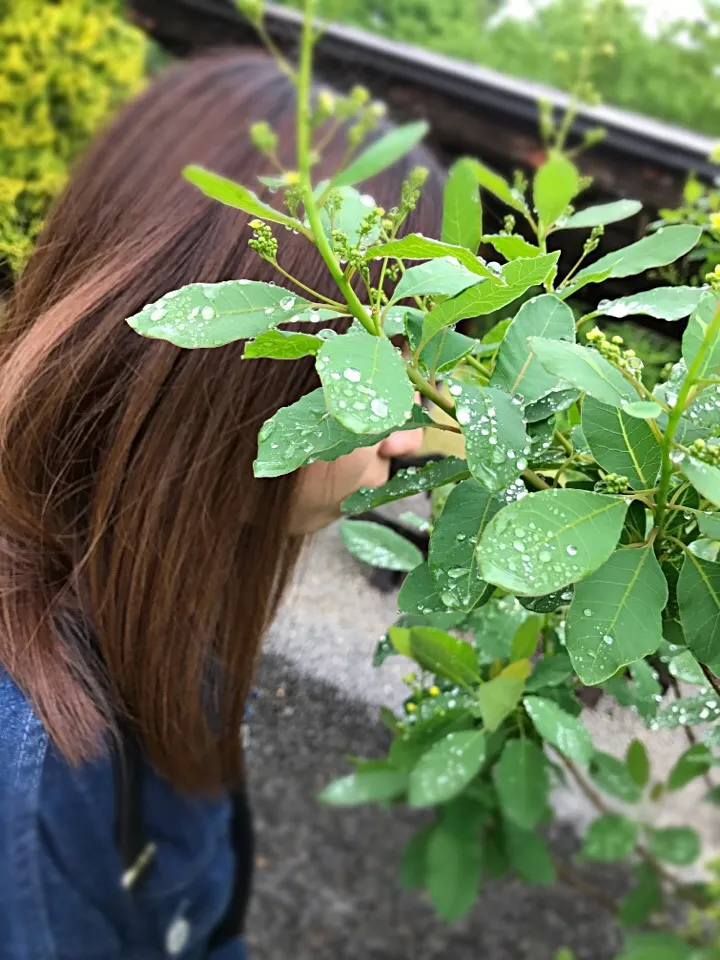 Snapdishの料理写真:|美里さん