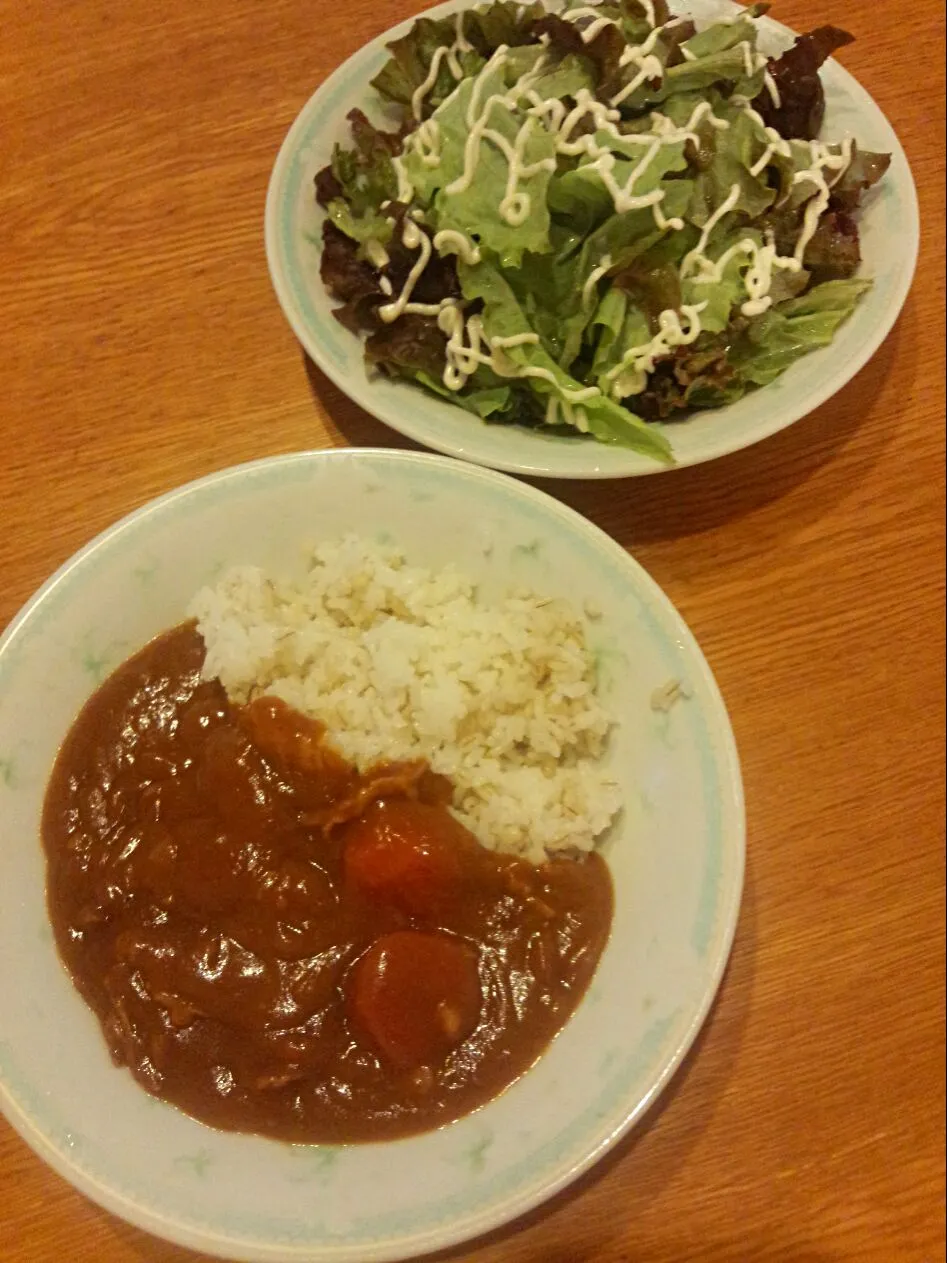 今日は、母の日。娘達が作ってくれた、カレーとサラダ|chou  chouさん