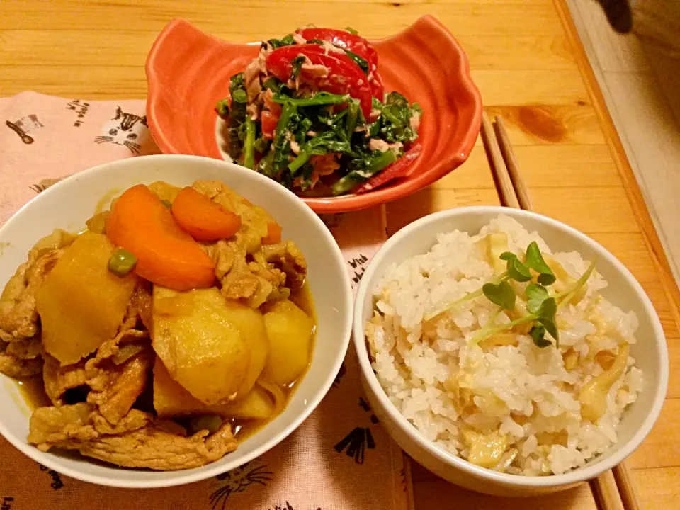 カレー風肉じゃがとたけのこご飯♪|ちゃんなみさん