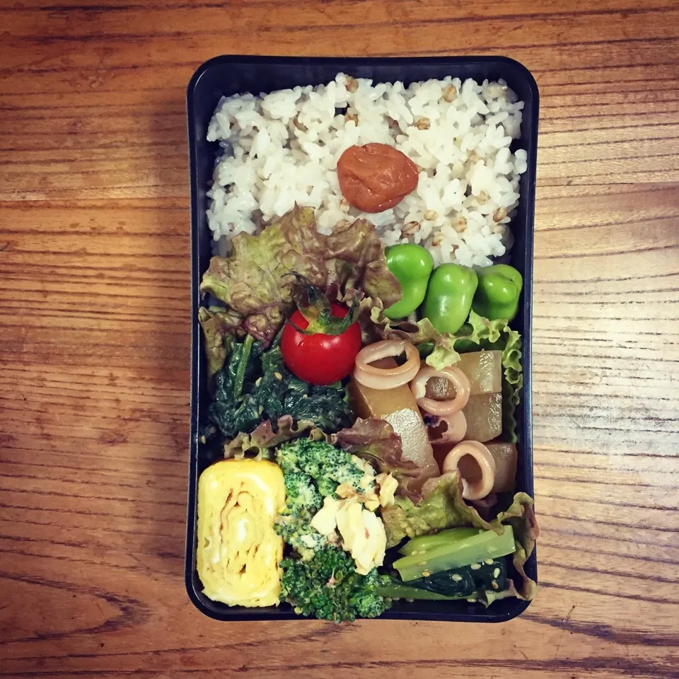 15 May 2017#お弁当 #lunch #lunchbox|はーさん