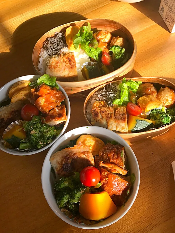 今日の夫婦弁当🍱長男🍱長女🍱
つくねの黒酢あん、カボチャ煮、ブロッコリーの胡麻和え、鰆の西京焼き🤗🎶|5ネコママさん