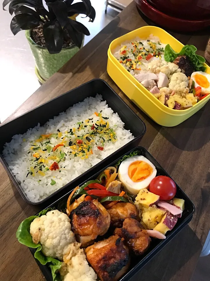 Snapdishの料理写真:タンドリーチキン弁当|二キィさん