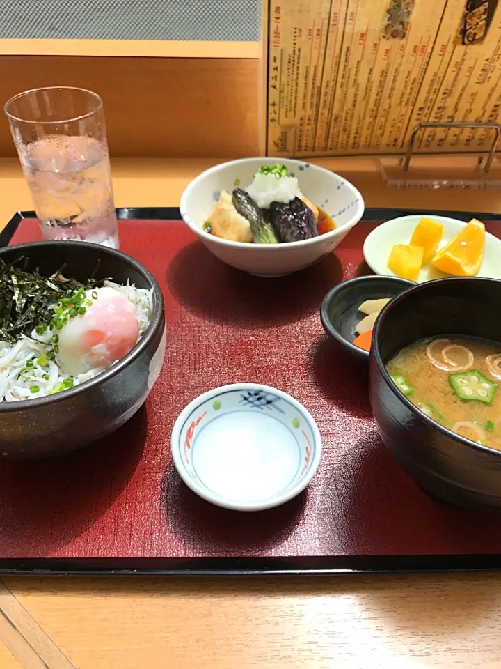 シラスまぐろ丼/茄子と豆腐揚げ出し/
味噌汁|山内博之さん