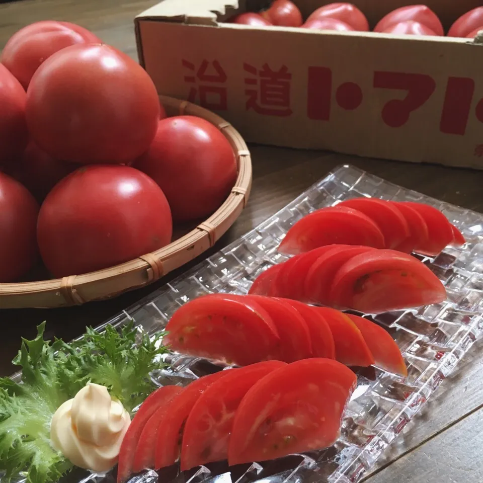 冷やし完熟トマト🍅  #治道トマト|七海さん