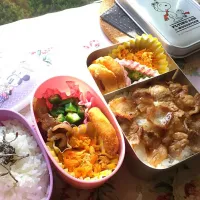 今日のお弁当|さくらさん