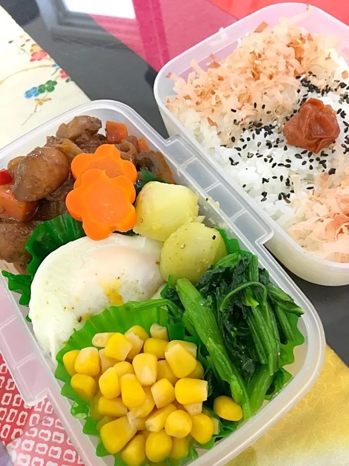 5月16日  プクパパお弁当|プクママさん