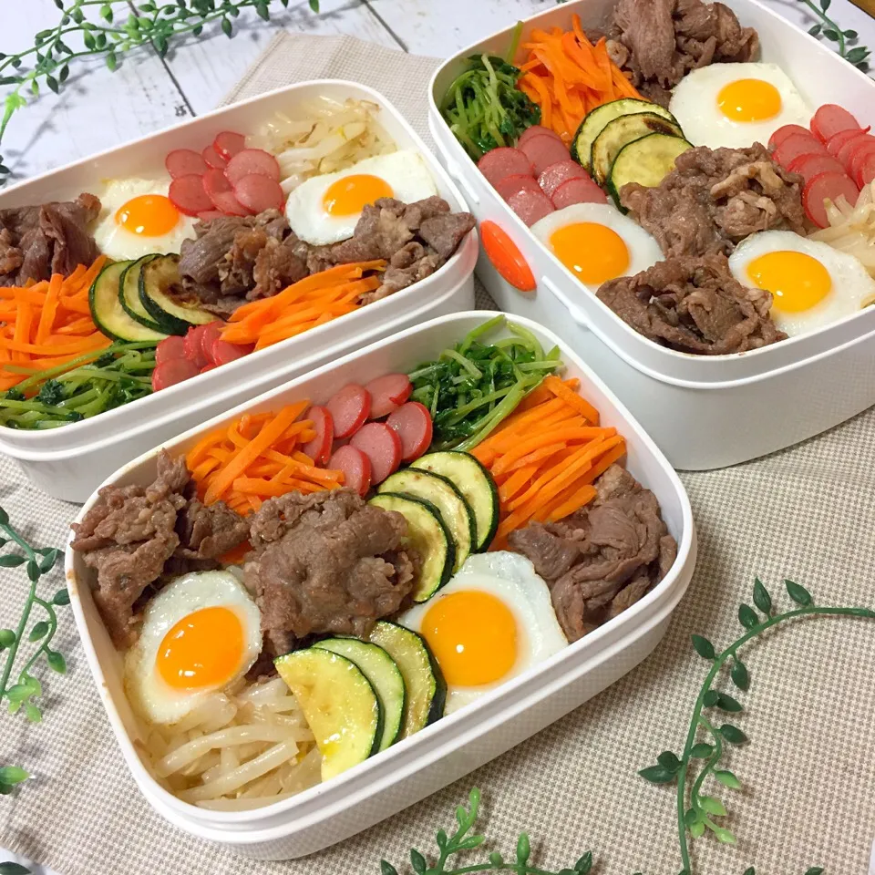 Snapdishの料理写真:モザイクビビンバ弁当|サリーさん