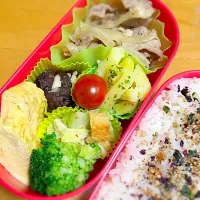 Snapdishの料理写真:生姜焼き風弁当|えりこさん