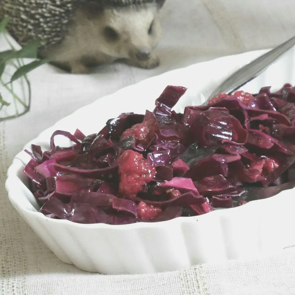 LaraさんのRed Cabbage Slaw with Blueberry / 紫キャベツ、ブルーベリーのコールスローをフランボワーズで！|まちまちこさん