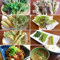 牛すじ煮込み、つけ麺のうどん、今が旬の山菜の天ぷら❗️あいこ、山うど、ウルイ、たらの芽、コシアブラなど❗️|Kujyou Higashiさん