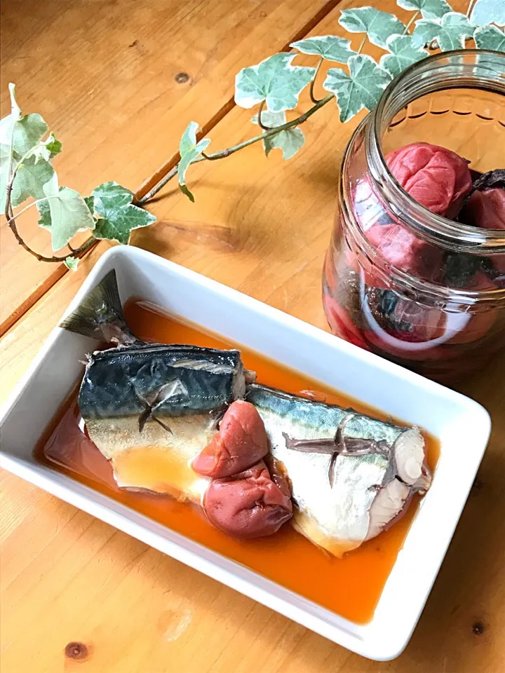 今日のお昼もピカピカお魚✨🐟自家製梅干し&梅酢で鯖の梅煮🍚|Hollyさん