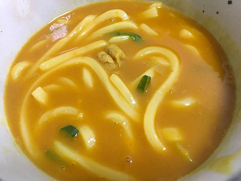 讃岐のカレーうどんは甘い味です😋|フージさん