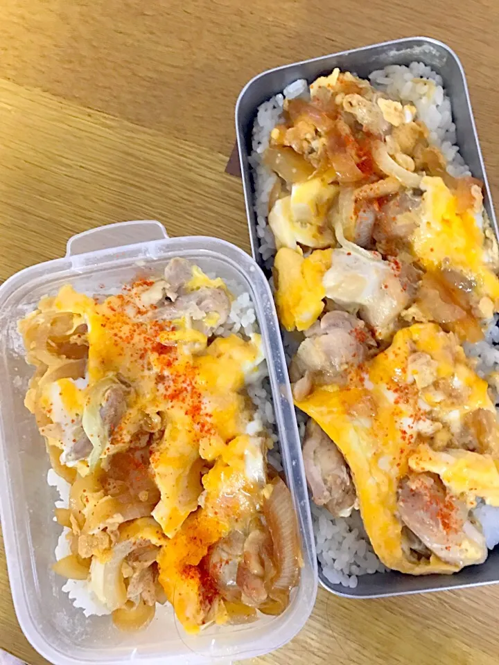 親子丼弁当。パパママ仕事弁。|めぐりんさん