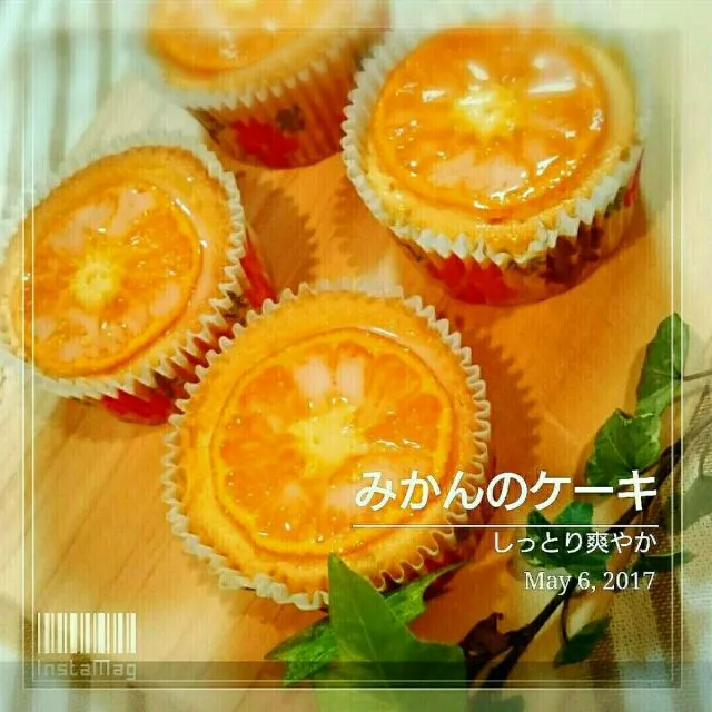 Snapdishの料理写真:しっとり爽やか
卵１個でみかんのケーキ
 #みかんの日(11月3日) 
 #しっとり
 #卵１個|幸せまちこさん