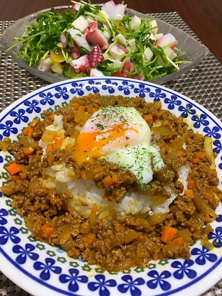 キーマカレー
タコと彩り野菜の昆布ドレッシングサラダ|みっきーさん