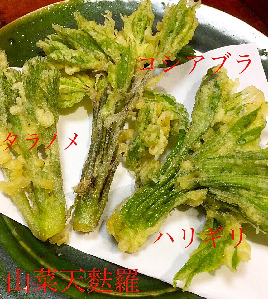 Snapdishの料理写真:#山菜 #天麩羅
#たらの芽 #コシアブラ
#ハリギリ|Blueberry🫐さん