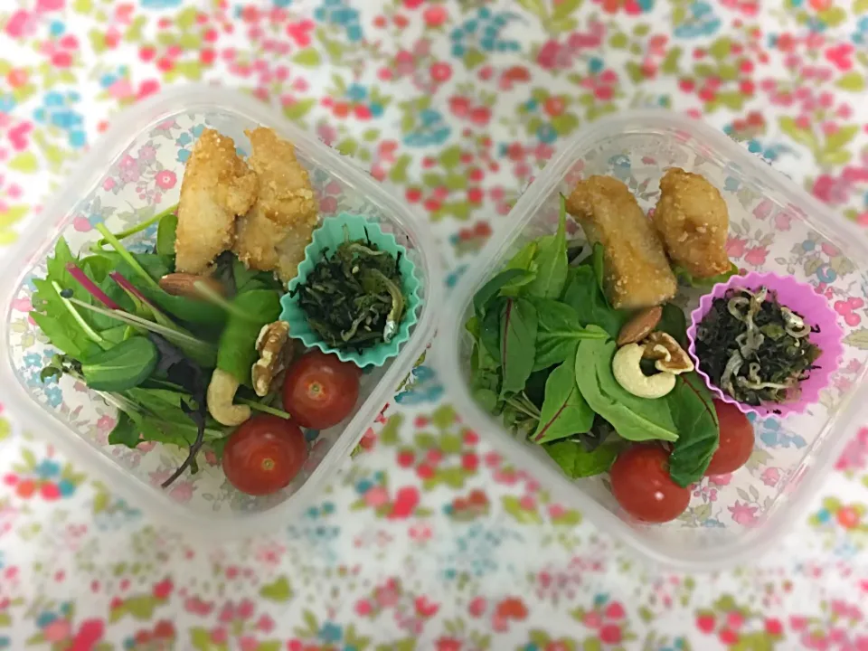 新緑の季節を楽しむベビーリーフのお弁当🌿|こぐまさん