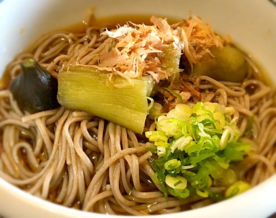 冷しぶっかけ焼きナス蕎麦 #ギンギンに冷した #焼きナス #ニハ蕎麦 #ランチ|mottomoさん