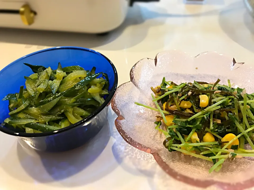 ・キュウリのきんぴら
・豆苗とツナの塩昆布サラダ|さや助さん