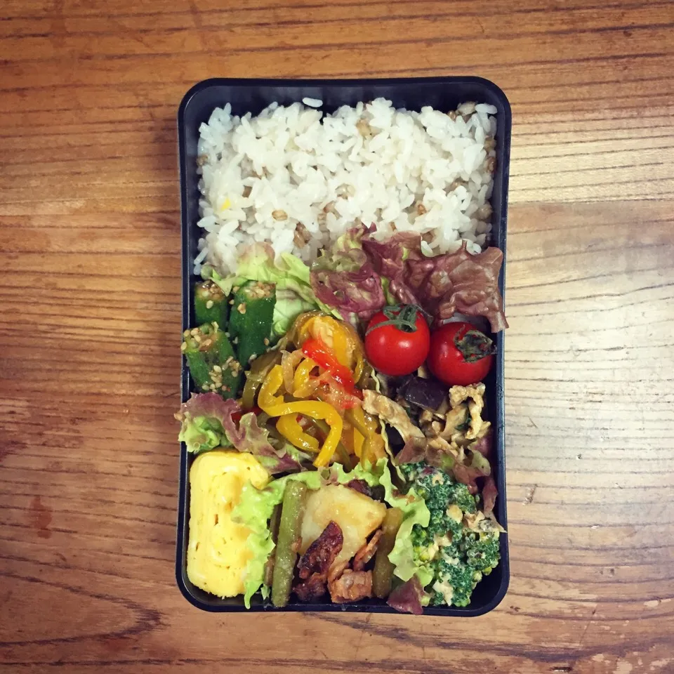 19 May 2017#お弁当 #lunch #lunchbox|はーさん